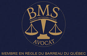 BMS AVOCAT